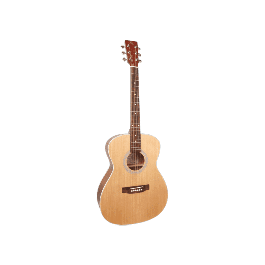 Guitare acoustique SX SO204 