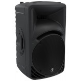  Mackie     SRM450V3